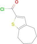 5,6,7,8-tetrahydro-4H-cyclohepta[b]thiophene-2-carbonyl chloride