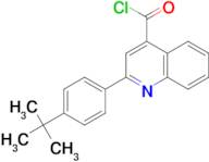 2-(4-tert-butylphenyl)quinoline-4-carbonyl chloride