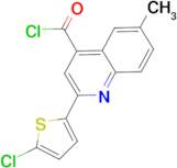 2-(5-chloro-2-thienyl)-6-methylquinoline-4-carbonyl chloride