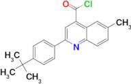 2-(4-tert-butylphenyl)-6-methylquinoline-4-carbonyl chloride