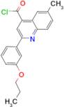 6-methyl-2-(3-propoxyphenyl)quinoline-4-carbonyl chloride