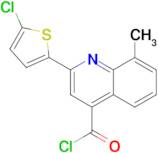 2-(5-chloro-2-thienyl)-8-methylquinoline-4-carbonyl chloride