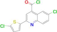 6-chloro-2-(5-chloro-2-thienyl)quinoline-4-carbonyl chloride