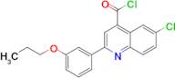 6-chloro-2-(3-propoxyphenyl)quinoline-4-carbonyl chloride