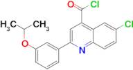 6-chloro-2-(3-isopropoxyphenyl)quinoline-4-carbonyl chloride