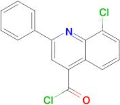 8-chloro-2-phenylquinoline-4-carbonyl chloride