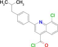 8-chloro-2-(4-isobutylphenyl)quinoline-4-carbonyl chloride