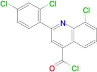 8-chloro-2-(2,4-dichlorophenyl)quinoline-4-carbonyl chloride