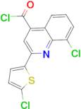 8-chloro-2-(5-chloro-2-thienyl)quinoline-4-carbonyl chloride