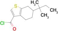 6-(1,1-dimethylpropyl)-4,5,6,7-tetrahydro-1-benzothiophene-3-carbonyl chloride