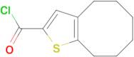 4,5,6,7,8,9-hexahydrocycloocta[b]thiophene-2-carbonyl chloride