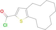 4,5,6,7,8,9,10,11,12,13-decahydrocyclododeca[b]thiophene-2-carbonyl chloride