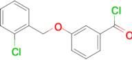 3-[(2-chlorobenzyl)oxy]benzoyl chloride