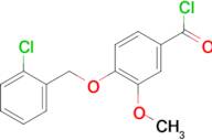 4-[(2-chlorobenzyl)oxy]-3-methoxybenzoyl chloride