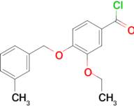 3-ethoxy-4-[(3-methylbenzyl)oxy]benzoyl chloride