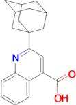 2-(1-adamantyl)quinoline-4-carboxylic acid