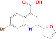 7-bromo-2-(2-furyl)quinoline-4-carboxylic acid