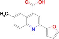 2-(2-furyl)-6-methylquinoline-4-carboxylic acid