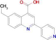 6-ethyl-2-pyridin-4-ylquinoline-4-carboxylic acid