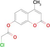 4-methyl-2-oxo-2H-chromen-7-yl chloroacetate