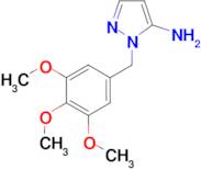 1-(3,4,5-trimethoxybenzyl)-1H-pyrazol-5-amine