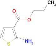 propyl 2-aminothiophene-3-carboxylate