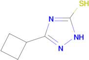 5-cyclobutyl-1H-1,2,4-triazole-3-thiol