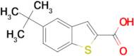 5-tert-butyl-1-benzothiophene-2-carboxylic acid