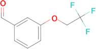 3-(2,2,2-trifluoroethoxy)benzaldehyde