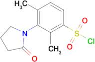 2,4-dimethyl-3-(2-oxopyrrolidin-1-yl)benzenesulfonyl chloride