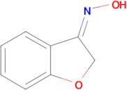 (3Z)-1-benzofuran-3(2H)-one oxime