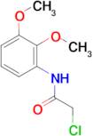 2-chloro-N-(2,3-dimethoxyphenyl)acetamide