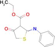 ethyl 2-anilino-4-oxo-4,5-dihydrothiophene-3-carboxylate