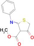 methyl 2-anilino-4-oxo-4,5-dihydrothiophene-3-carboxylate