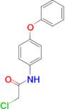 2-chloro-N-(4-phenoxyphenyl)acetamide