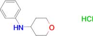 N-phenyltetrahydro-2H-pyran-4-amine hydrochloride