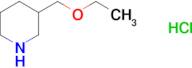 3-(ethoxymethyl)piperidine hydrochloride