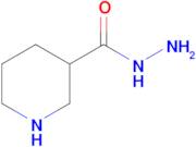 piperidine-3-carbohydrazide