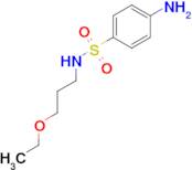 4-amino-N-(3-ethoxypropyl)benzenesulfonamide