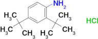 (2,4-di-tert-butylphenyl)amine hydrochloride