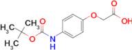 {4-[(tert-butoxycarbonyl)amino]phenoxy}acetic acid