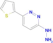 3-hydrazino-6-(2-thienyl)pyridazine