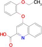 4-(2-ethoxyphenoxy)quinoline-2-carboxylic acid