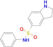 N-phenylindoline-5-sulfonamide