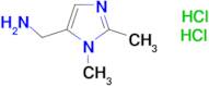[(1,2-dimethyl-1H-imidazol-5-yl)methyl]amine dihydrochloride