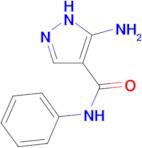 5-amino-N-phenyl-1H-pyrazole-4-carboxamide