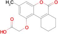 [(3-methyl-6-oxo-7,8,9,10-tetrahydro-6H-benzo[c]chromen-1-yl)oxy]acetic acid