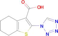2-(1H-tetrazol-1-yl)-4,5,6,7-tetrahydro-1-benzothiophene-3-carboxylic acid