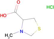 3-methyl-1,3-thiazolidine-4-carboxylic acid hydrochloride