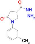 1-(3-methylphenyl)-5-oxopyrrolidine-3-carbohydrazide